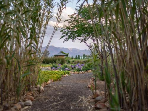 Langeberg Maison | Galloway Guest House