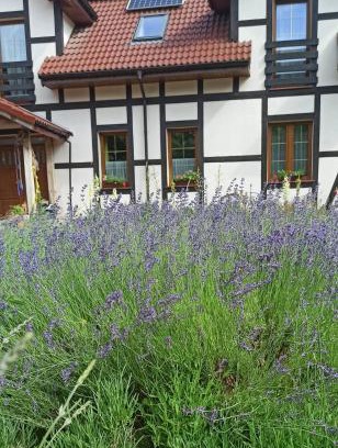 gmina Siemysl Maison | Gandelinka Park Kędrzyno