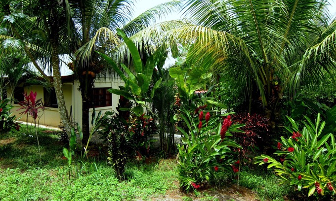 Baru Maison | Garden Cabina / Bungalow next to Nauyaka WaterFalls