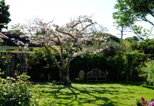 Otaki Appartement | Garden Retreat