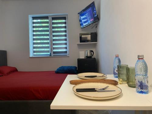 Slatina Appartement | Garsonieră stil hotel 2