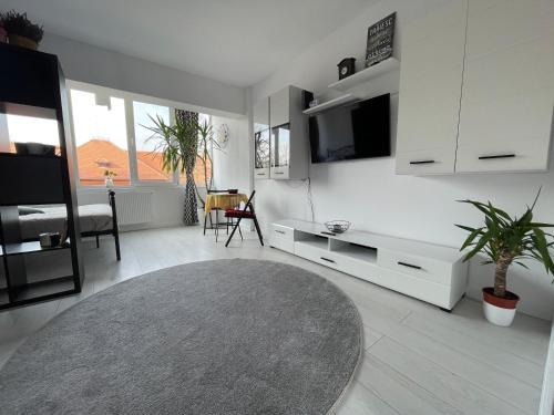 Petrosani Appartement | Garsonieră Ultracentrală Petroșani Valea Jiului