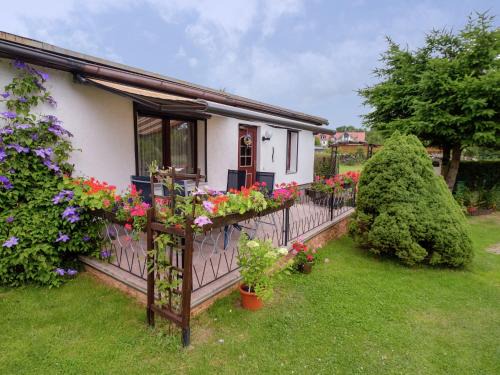 Hasselfelde Maison | Gartenwohnung in Hasselfelde