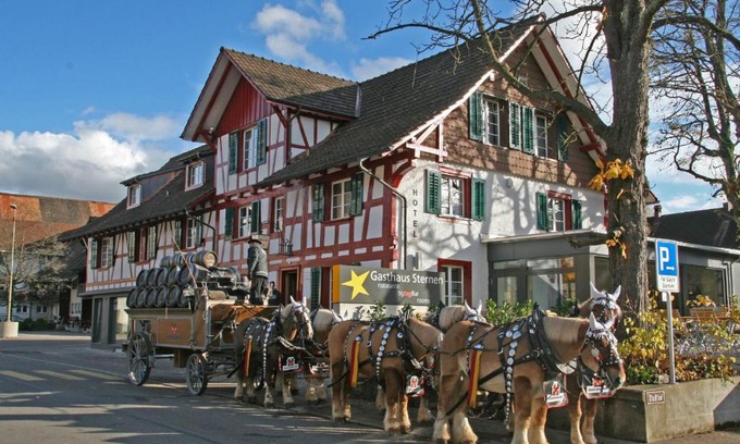 Rafz Hôtel | Gasthaus Sternen