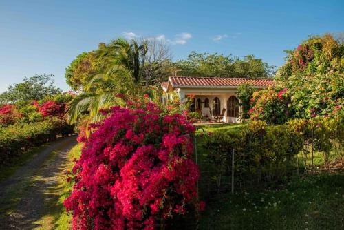 Tilaran Maison | Gateway to Paradise