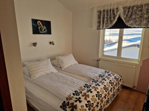 Hvammstangi Maison | Gauksmýri guesthouse lodge
