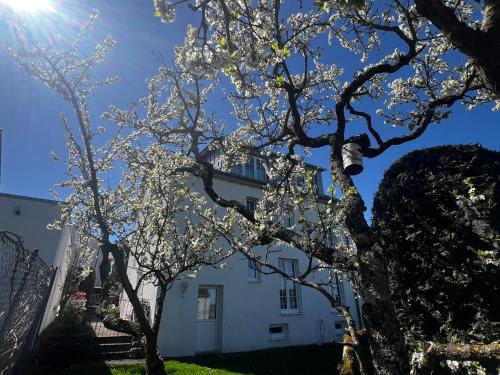 Besigheim Maison | Gemütlich wohnen über Besigheim