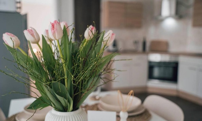 Bad Lippspringe Appartement | Gemütliche Wohnung nahe Kurpark