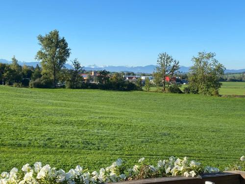 Wildpoldsried Appartement | Gemütliche Wohnung mit Ofen und Naturblick