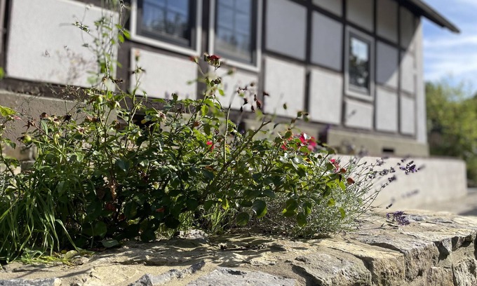 Kalletal Maison | Gemütliches Fachwerkhaus im Kalletal