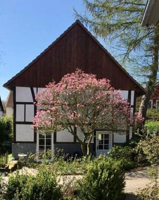 Extertal Maison | Gemütliches Ferienhaus im Extertal/Lippe