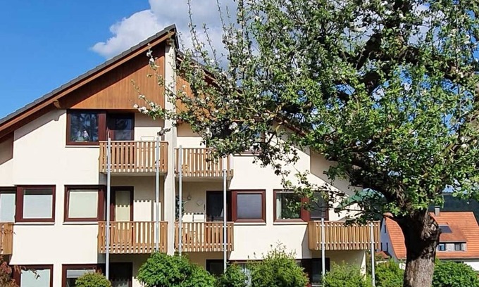 Bad Zwesten Appartement | Gem at the Kurpark, Germany