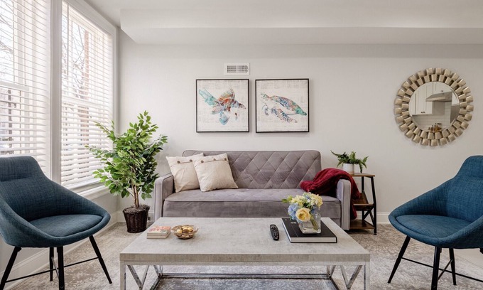 Georgetown Lit Et Petit-Déjeuner | Georgetown - 1-BR- Apt #1-450 SF (Near CAMPUS)