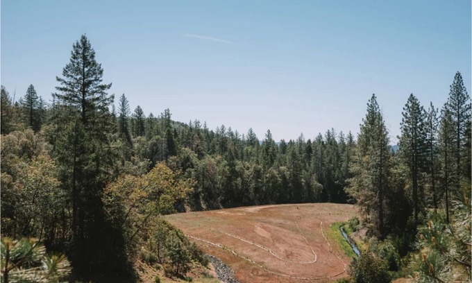 Cedar Ridge Cottage | Get lost and find yourself