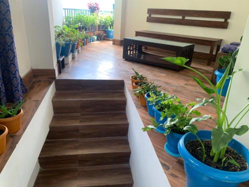 Darjeeling Maison | GIRIN Homestay