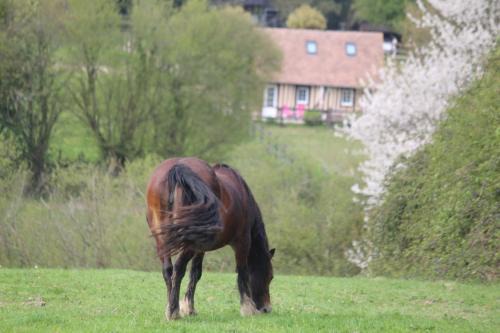 Pays d'Auge Maison | Gite A la petite Bretonnière