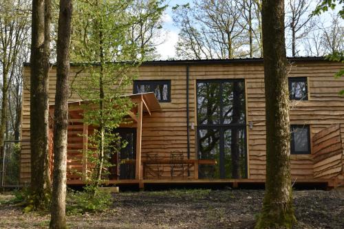 Philippeville Chalet De Ski | Gite cocon dans la forêt