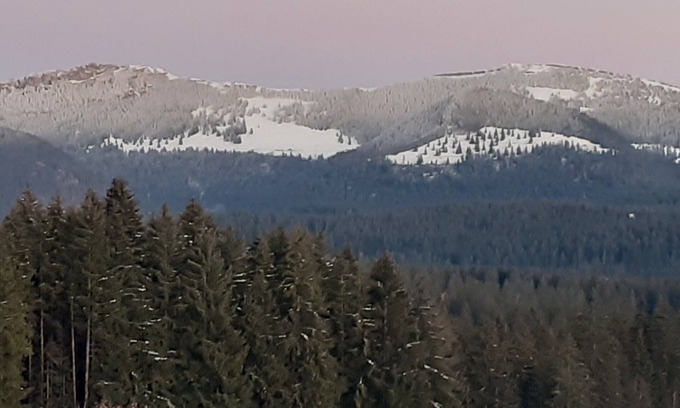 Mazire Appartement | Gîte des Hauts Sapins 4* - 10 pers. Un lieu idéal et une atmosphère apaisante.