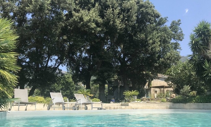 Patrimonio Appartement | Gîte pour 2 à St Florent Patrimonio avec piscine ,malocationencorse