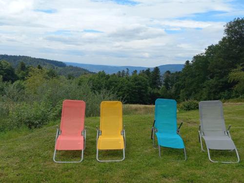 Dommartin-les-Remiremont Maison | GITE LA HOUBETTE VUE MAGNIFIQUE - Nature