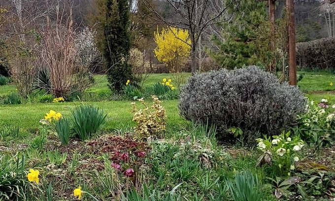 Saint-Ythaire Maison | Gite les Mésanges