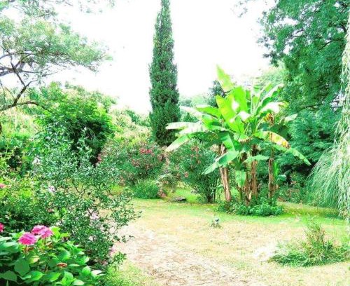 Buanes Appartement | Gite Matilon, 5 min Eugénie les Bains