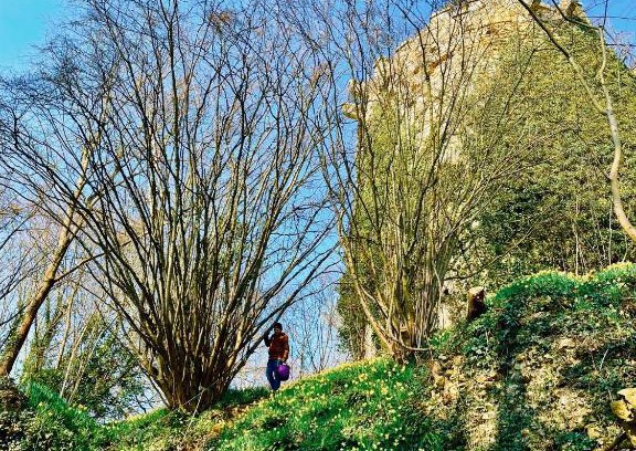 Tournebu Maison | Gite nadège à l Ombre d'une Tour
