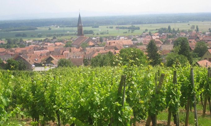 Kintzheim Maison | Gite sur la route des vins au calme avec belle vue sur chateau de Kintzheim