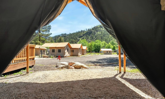 Poudre Park Maison | Glamp 11- Red Tailed Hawk