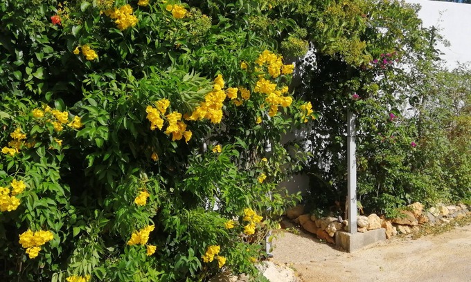 Silves Maison | Glamping Parque Retiro dos Sonhos