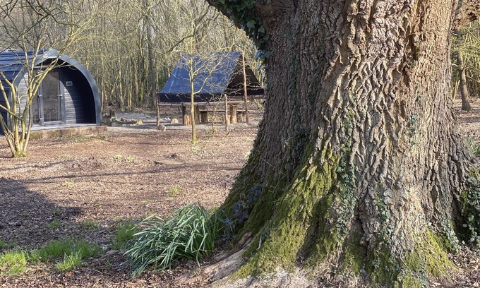 Milland Cabine | Glamping pod nestled deep within the South Downs National Park.