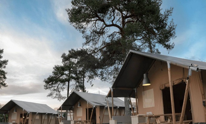 Reutum Maison | Glamping tent with sanitary facilities at a holiday park in the heart of Twente
