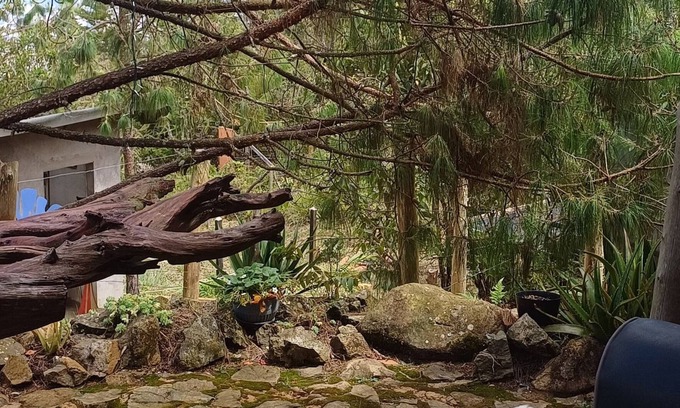 Medellin Cabine | Glamping Volver a la Tierra