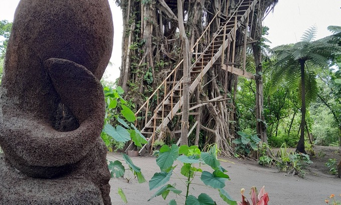 Tanna Island Maison | Glowing view tree house and Bangalow
