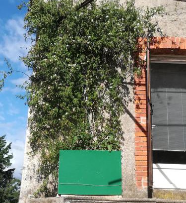 Chambon Maison | Glycines et jasmins