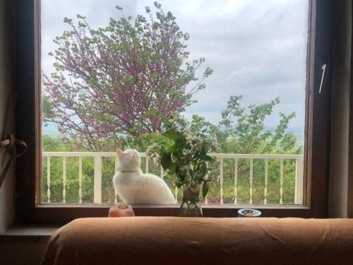 Popovac Maison | Goldberg - Apartman Lana