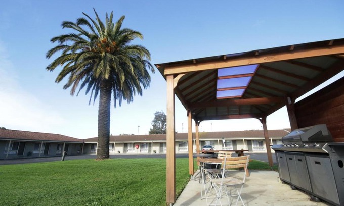 Grovedale Hôtel | Golden Palms Motel