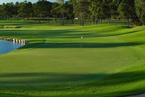 Grogan's Mill Maison | Golf course view vacation home