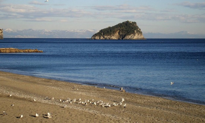 Torre del Mare Appartement | Golfo dell'Isola - Appartamento fronte mare