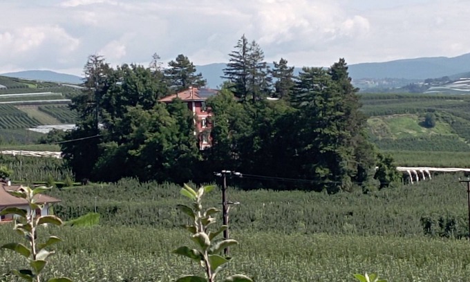 Terres Maison | Gorgeous apartment in villa with private forest - Brenta Dolomites Park