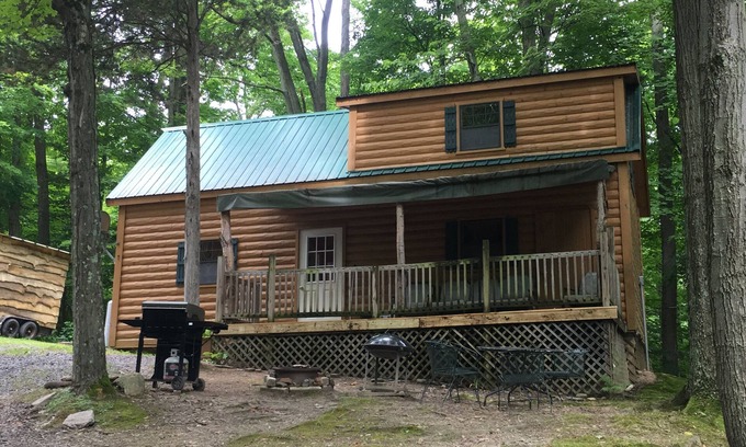 Trumansburg Cabine | Superbe cabine pour une propriété au bord du lac!