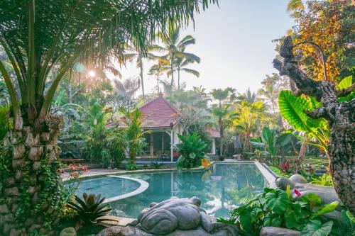 Taro Cabine | Govinda House