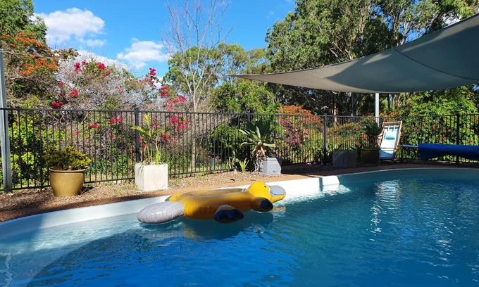 Singleton Shire Council Maison | Gowrie Agapanthus