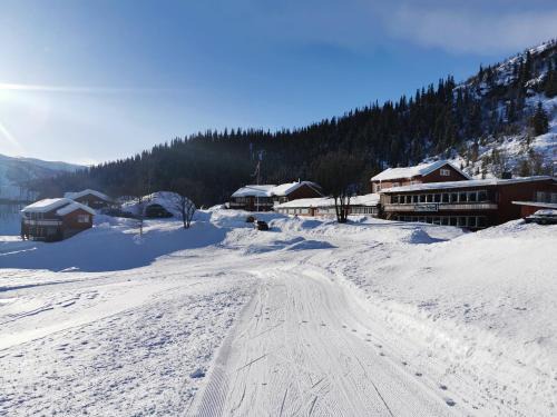 Oystre Slidre Hôtel | Grønolen Fjellgard
