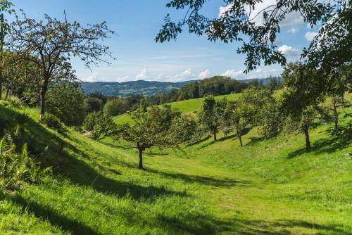 Rimbach Appartement | Grünewaldhof in Rimbach im Odenwald