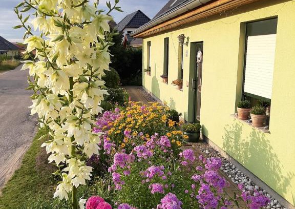 Feldberger Seenlandschaft Appartement | GRAHLS- Ferienapartement