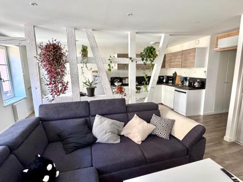 Haguenau Appartement | Grand et lumineux 2 pièces avec climatisation en zone pietonne