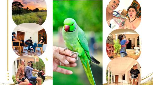 Anuradhapura Maison | Grand Refuge wilpathu safari Home made foods Bikes Bicycles Tuk tuk Bird view Lake jogging