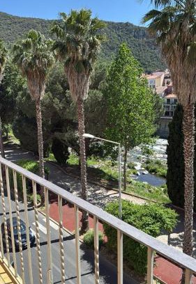 Amelie-les-Bains-Palalda Appartement | Grand T3 Balcon vue sur Rivière