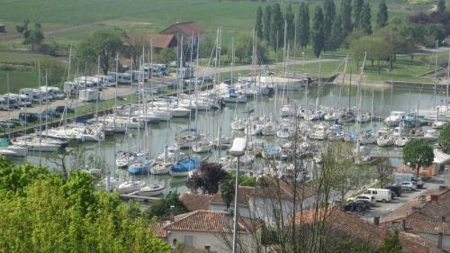 Mortagne-sur-Gironde Maison | Grande maison charentaise avec vue sur le chenal superbes couchés de soleil sur l estuaire de la gironde!